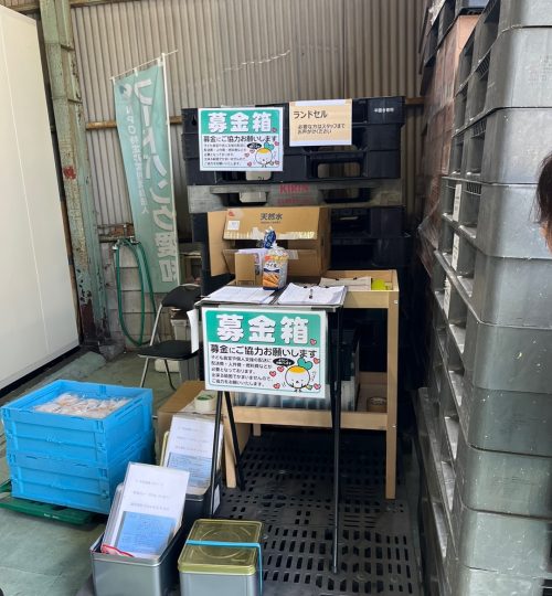 KakaoTalk_Photo_2024-10-09-16-29-53 001